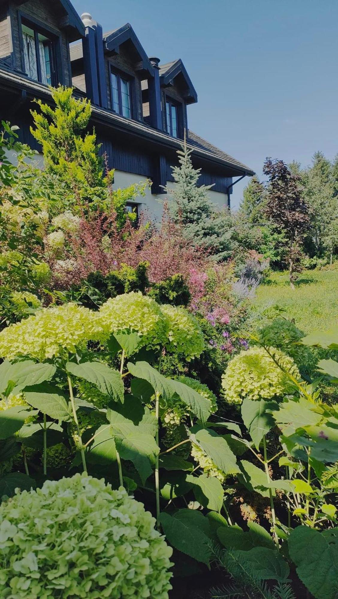 Osrodek Bialy Lew Bed & Breakfast Wojciechow  Exterior foto