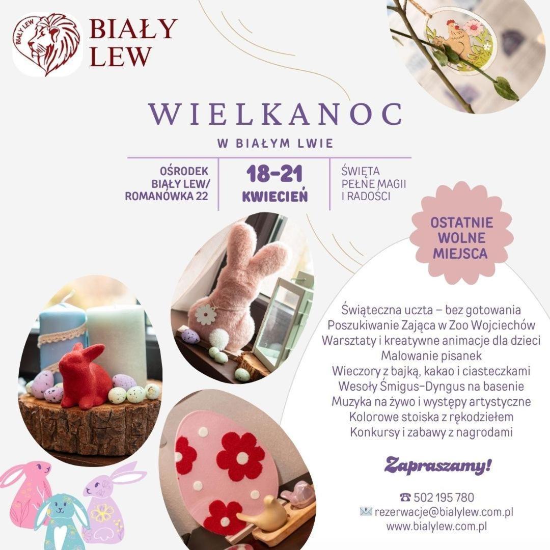 Osrodek Bialy Lew Bed & Breakfast Wojciechow  Exterior foto