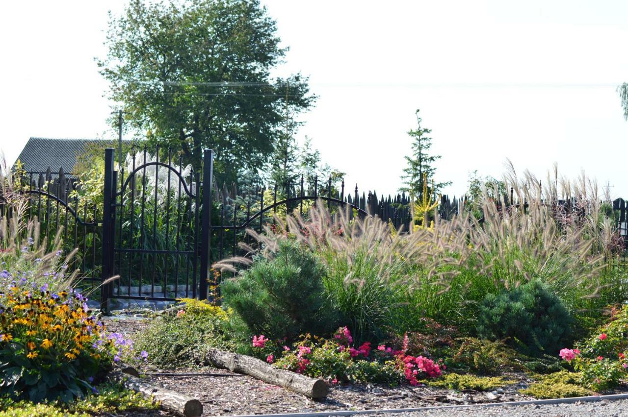 Osrodek Bialy Lew Bed & Breakfast Wojciechow  Exterior foto